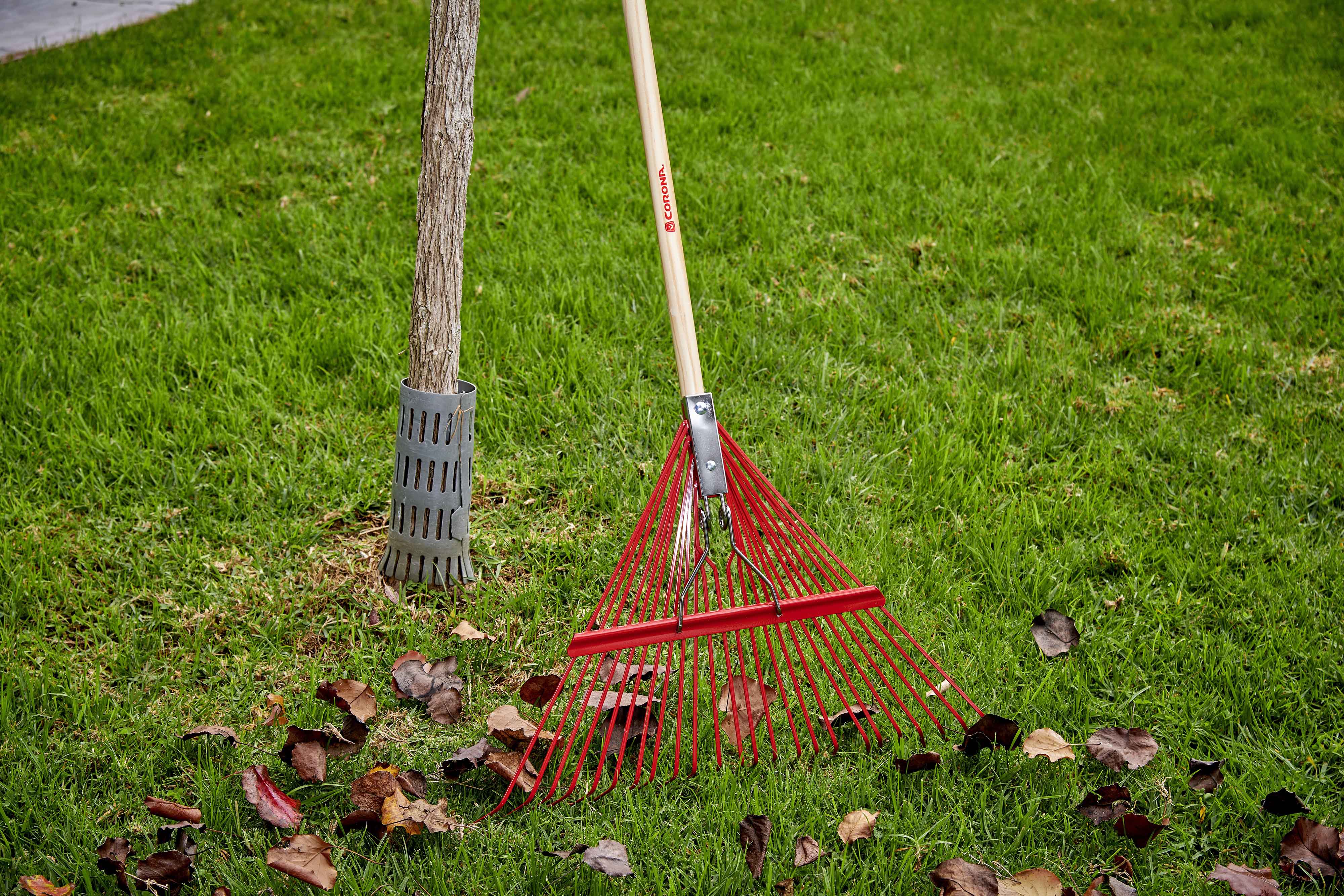 Spring Brace Rake - 24 Inch/24