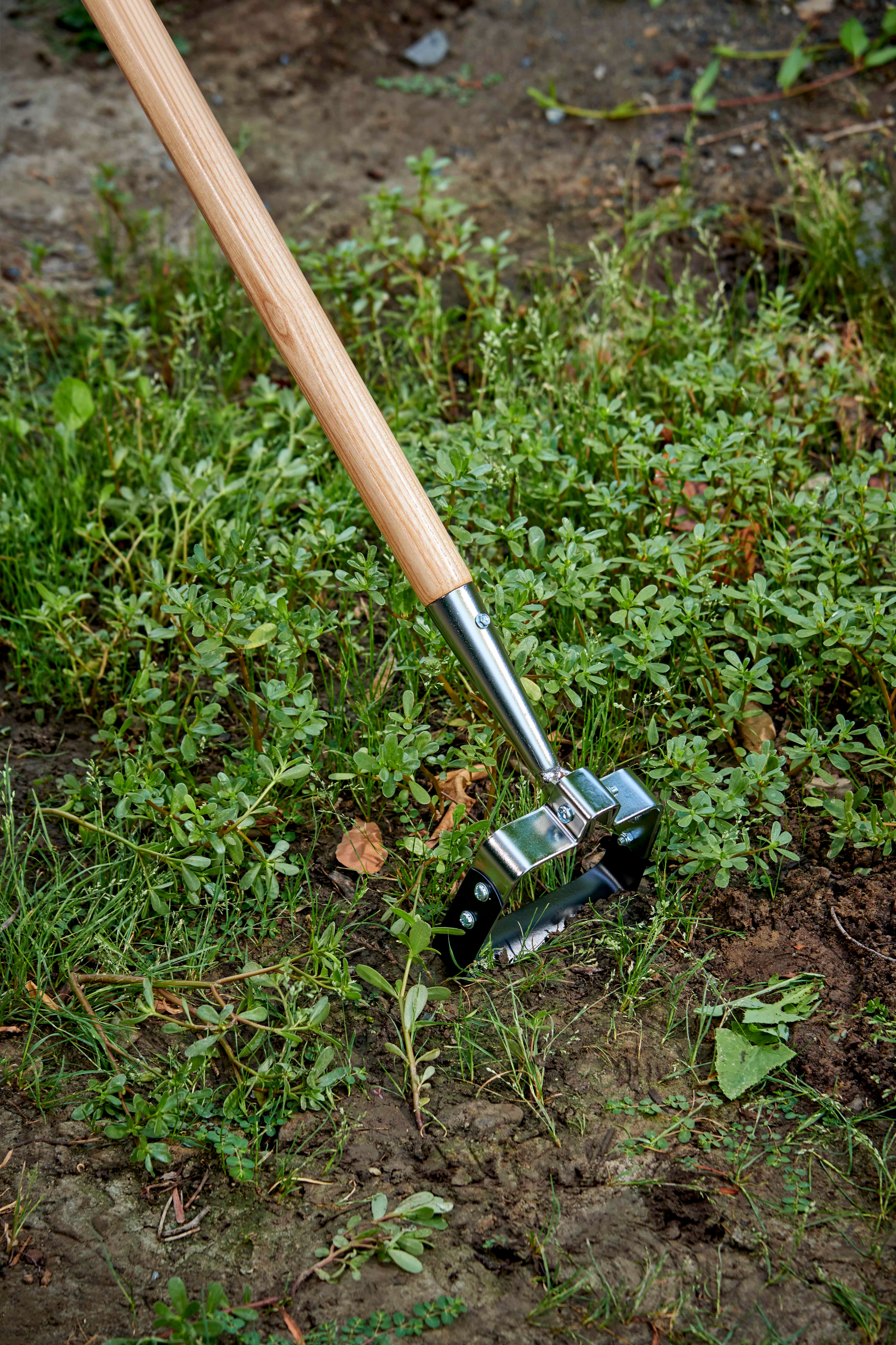 Oscillating Hoe - 5 Inch